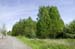 kochhenri200505008