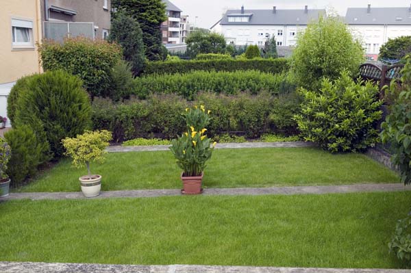 lallangerue200506004