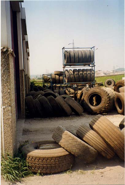 lankelzrue199805002