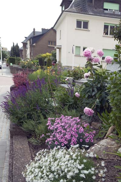 legallais200506006