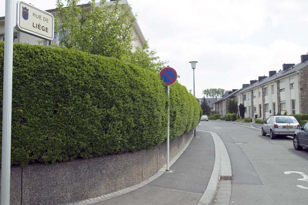liegerue200505004