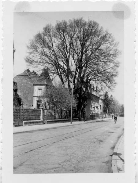 Luxembourg rue de 1959 003 ormes devant ancienne maison Brasseur