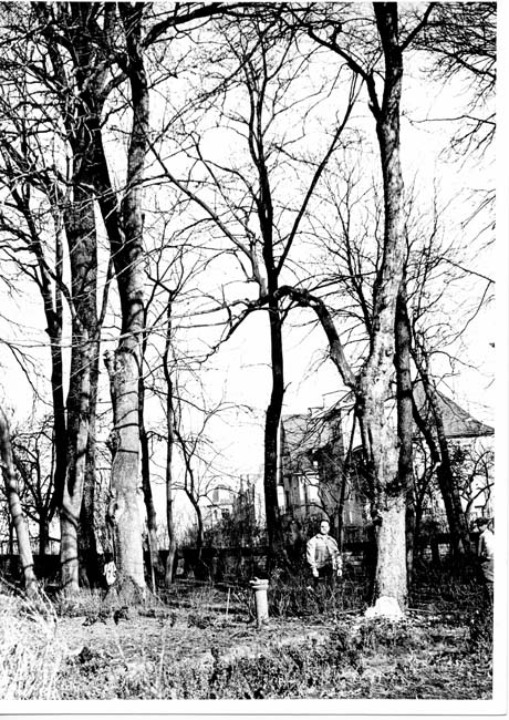 Mayrisch Emile rue 1933 01
