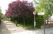 minesrue200505010
