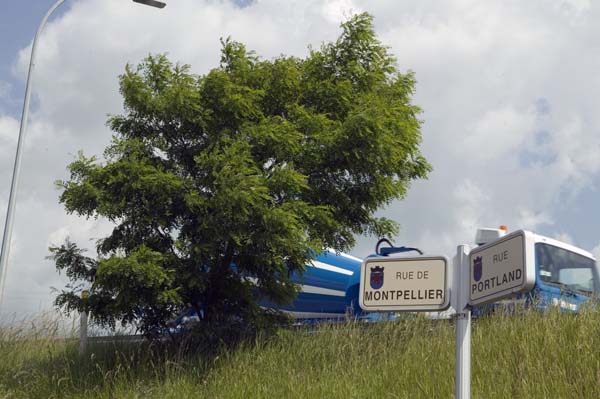 montpellier200506001