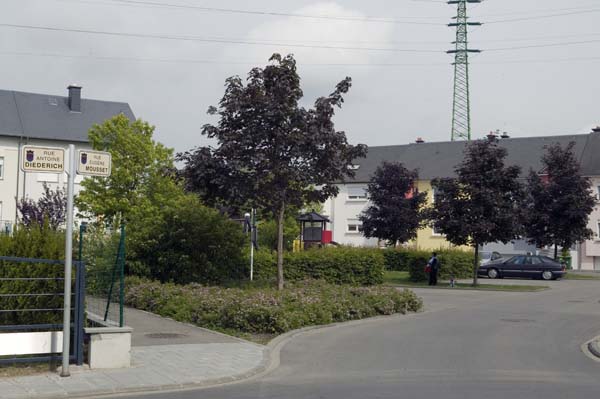 mousset200506004