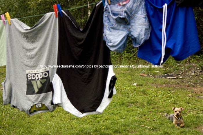 neudorf200706cfl 010