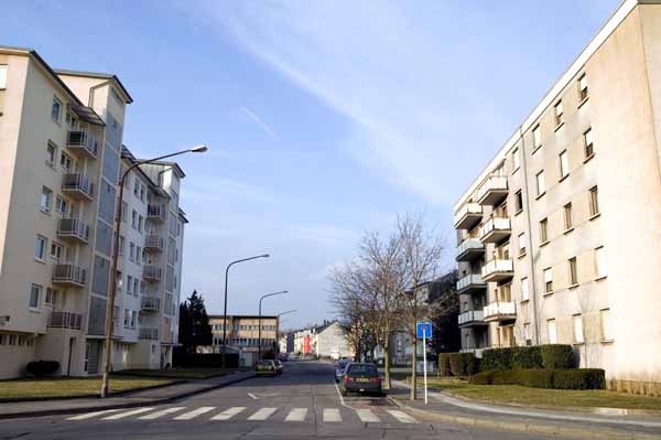 reichling200502002