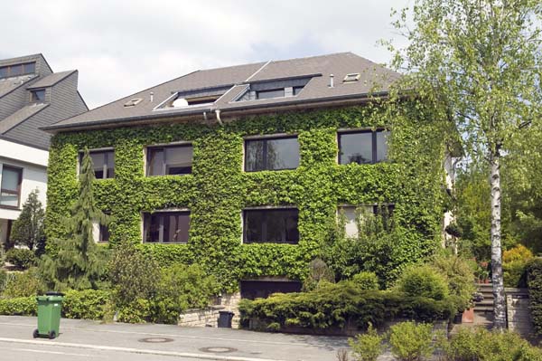 useldinger200505005