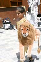 20080705mamufo117