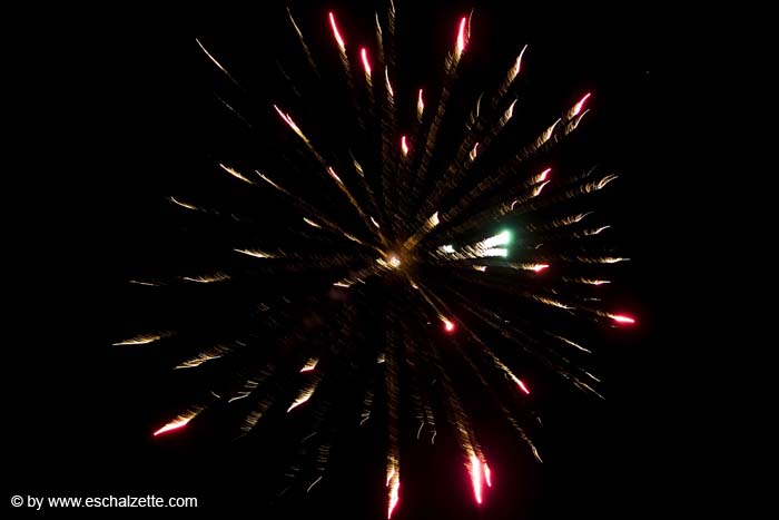 20080209fetedesbrandons043