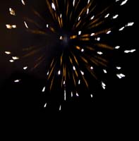 20080209fetedesbrandons041