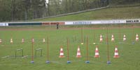 20080501cafolaspillfest029