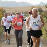20081012cafolaeschvil#C1A36
