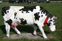 20080512randonneehubertclement005