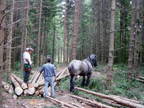 img00019