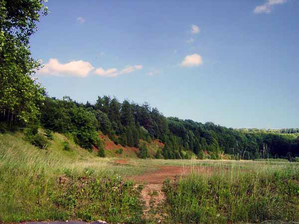 img00027