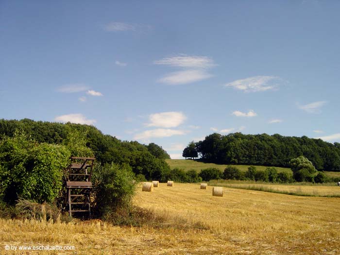 Auf Besing 2003 006
