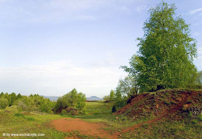 lallengerbierg 2004 05 010