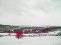 Auf der Hoehl 2004 005