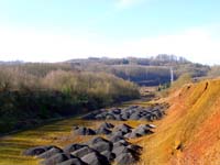 Burbacher Lach 1