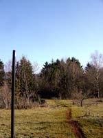 Im Elterngruendchen 2004 02 002