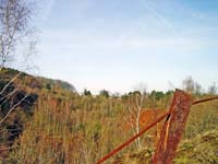 im schlammfeld 2004 02 004