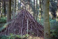 nature200509006