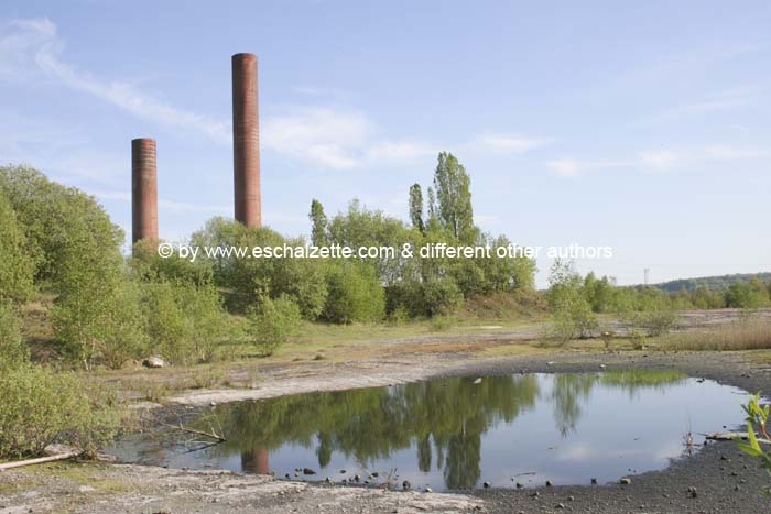 belval200704005