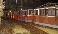 20061204stebarbedhoil015