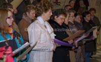 20061204stebarbedhoil045