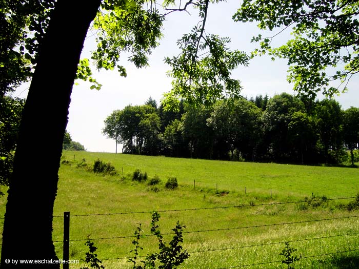 parc_grouwen4345