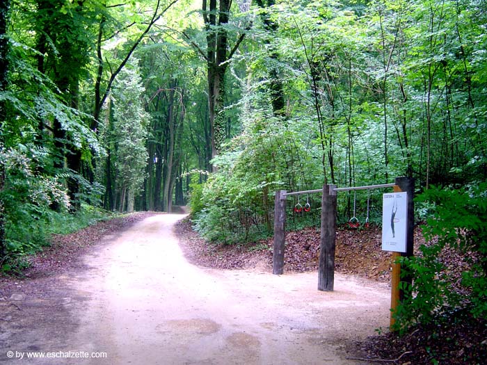 parc_grouwen4778