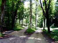 parc_grouwen4337