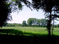 parc_grouwen4357