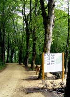 parc_grouwen4776
